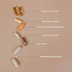 Revive Essential Vitamins Pack